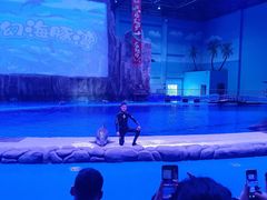 -华夏文旅海洋公园