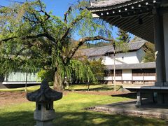 -醍醐寺