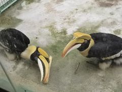 -海南热带野生动植物园