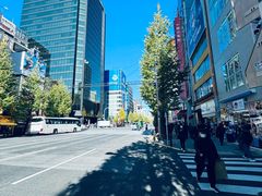 -秋叶原电器街