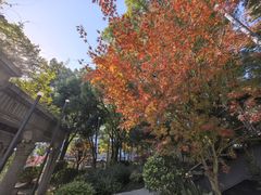 -长阳创谷