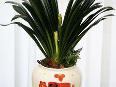 -F.Story 花和故事(新天地店)