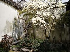 -老阊门菜馆(山塘街店)