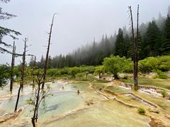 -黄龙山原始森林景区