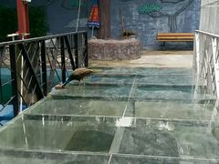 -泉州海丝野生动物世界