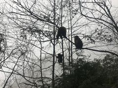 -九峰山