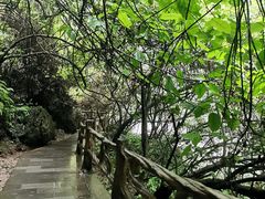 -马岭河峡谷风景区