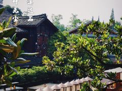 -峨眉山报国寺