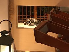 -春熙台韩国料理·章鱼肥牛(西丽店)