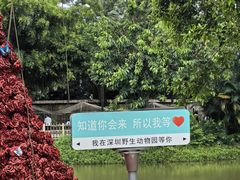 -深圳野生动物园