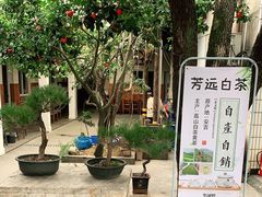 -李东农庄(中南百草园地标店)