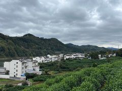 -新安江山水画廊风景区