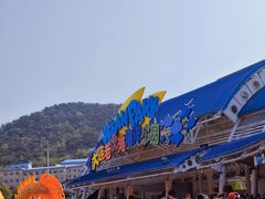 -大连老虎滩海洋公园