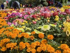 -南山植物园