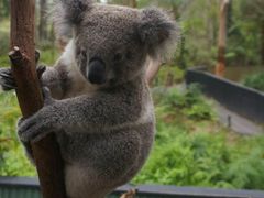 -费瑟代尔野生动物园