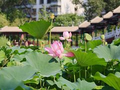 -西海子公园