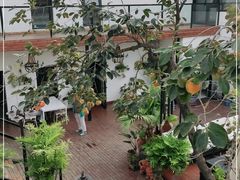 -素心小筑(后沙裕镇店)