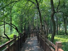 -东湖落雁景区