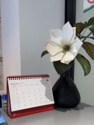 -LJOY丽锦造型·烫发染发