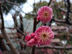 -静安雕塑公园