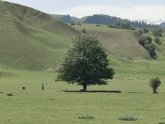 -新疆那拉提国家旅游度假区