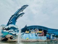 -泉城欧乐堡海洋极地世界