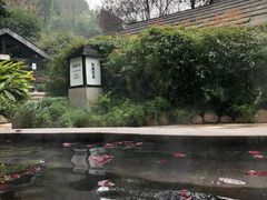 -融汇温泉