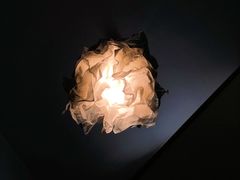 -朵朵开素食餐厅(后宰门街店)