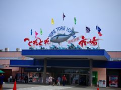 -南纪白浜Toretore市场