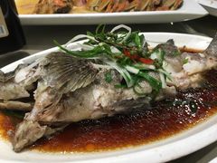 椒香青石斑-满江红大酒店(城站店)