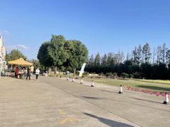 -前小桔亲子创意农场·草莓采摘·露营烧烤