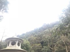 -北仑森林植物园