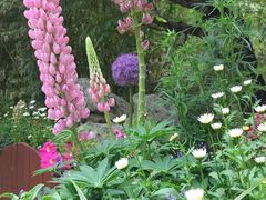-宣武艺园