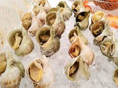 -西安高新希尔顿酒店·咖啡露台西餐厅