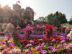-松山湖梦幻百花洲