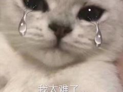 -MAX伯爵沉浸式超级游戏体验馆·实景桌游·剧本杀(小时代店)