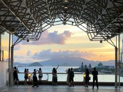 -Big Bus Tours 敞篷观光巴士