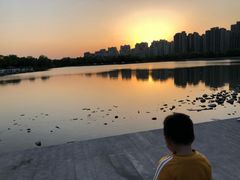 -南翔镇银翔湖公园