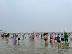 -碧海金沙
