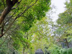 -杭州植物园