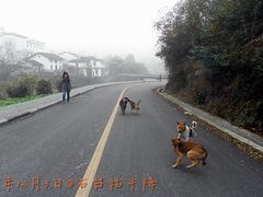 -祁门牯牛降观音堂风景区