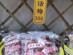 -苏州市吴中区光福窑上花果蜜饯厂