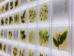 -广东中医药博物馆