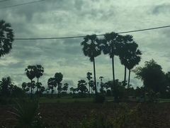 -洞里萨湖