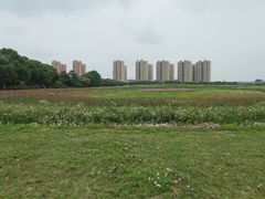 -映月湖中央公园