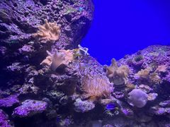 -泉城欧乐堡海洋极地世界