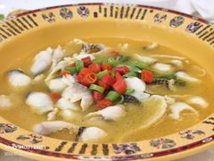 -天天渔港(杏林街店)