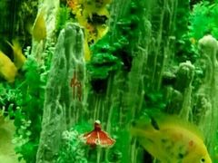 -洛阳龙门海洋馆