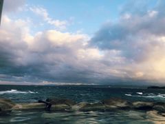 -滨千鸟之汤 海舟