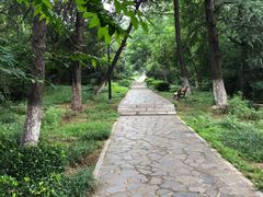 -太子山公园(园东路)